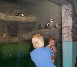 My Trip to the Zoo Image